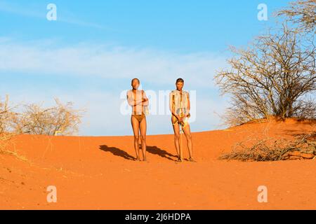San (Saan) les Bushmen, chasseurs-cueilleurs indigènes semi-nomades, vivent en Afrique australe depuis 20 000 ans, dans le désert de Kalahari, en Namibie, en Afrique Banque D'Images