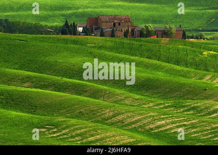 Ancien bâtiment dans le champ vert de printemps Banque D'Images