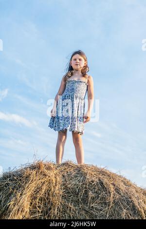 Portrait de petite fille en robe restant sur haystack dans le champ. Journée ensoleillée. Ciel clair sur l'arrière-plan. Photo verticale Banque D'Images