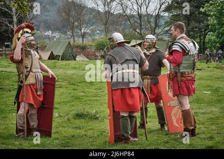 Un groupe de légionnaires du groupe de reconstitution Legion VIII Augusta à No Man's Land 2022, Bodrhyddan Hall, pays de Galles Banque D'Images