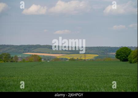 Au printemps, dans le Kent, les cultures commencent à s'élever et les collines de North Downs entourent les terres agricoles d'Aylesford et d'Eccles menacées par les promoteurs. Kent, Angleterre Banque D'Images