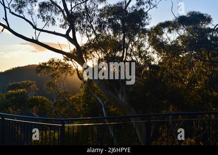 Coucher de soleil sur la promenade Prince Henry à Katoomba dans les Blue Mountains d'Australie Banque D'Images