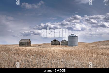 Silos à grains en bois et en acier dans un champ agricole près de Mossleigh, Alberta, Canada Banque D'Images