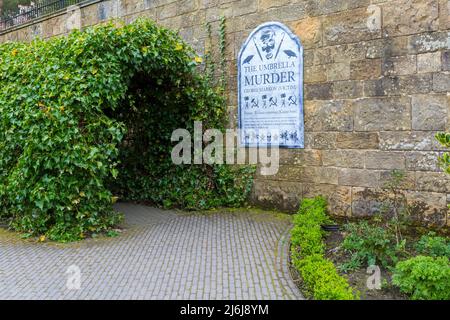 Détails de l'assassinat de Parapluie dans le jardin de poison dans les jardins d'Alnwick à Alnwick, Northumberland, Royaume-Uni, en avril Banque D'Images