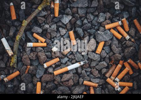 Mégots de cigarettes sur le sol de la ville Banque D'Images