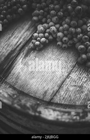 Raisins sur le tonneau en bois dans le vignoble, Hongrie Banque D'Images
