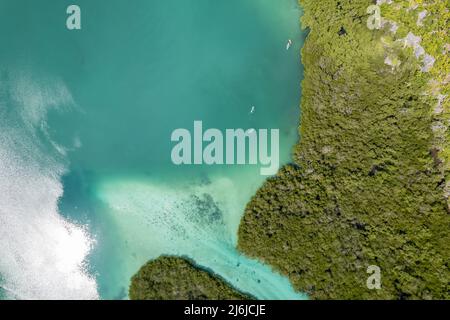 Prise de vue aérienne de kayaks dans la forêt de mangroves de l'île de Rote, province de Nusa Tenggara est, Indonésie Banque D'Images