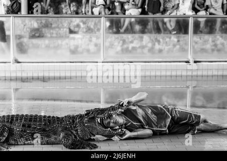 Pattaya, Thaïlande - 7 décembre 2009 : salon de la ferme aux crocodiles de Pattaya. L'interprète met sa tête dans la bouche du crocodile. Photographie en noir et blanc Banque D'Images