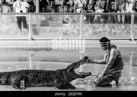 Pattaya, Thaïlande - 7 décembre 2009 : salon de la ferme aux crocodiles de Pattaya. L'interprète met sa main dans la bouche du crocodile. Photographie en noir et blanc Banque D'Images