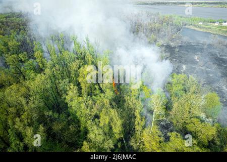 Feu puissant dans une forêt vide. Le feu se propage sur un front uni, forte fumée de l'endroit en feu. Vue du dessus, verticalement de haut en bas. n Banque D'Images