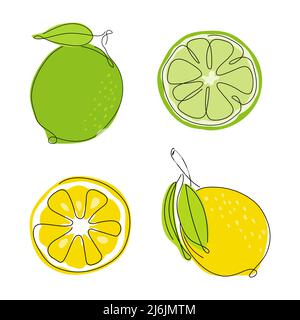 Ensemble de citron, citron vert, morceaux et tranches d'agrumes. Collection d'illustrations vectorielles cuisine exotique tropicale. Illustration de Vecteur