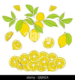 Ensemble de compositions de collection avec des fruits à base d'agrumes au citron. Collection d'illustrations vectorielles cuisine exotique tropicale. Illustration de Vecteur