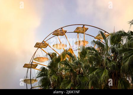 Gros plan de la partie haute d'une roue panoramique derrière les palmiers contre le ciel de coucher de soleil, Sanremo, Imperia, Ligurie, Italie Banque D'Images