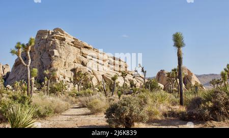 Une montagne rocheuse dans le parc national Hidden Valley of Joshua Tree est capturée parmi le paysage désertique unique Banque D'Images