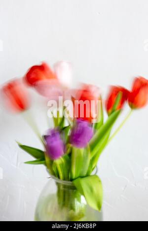 Bouquet de tulipes en exposition longue avec flou Banque D'Images