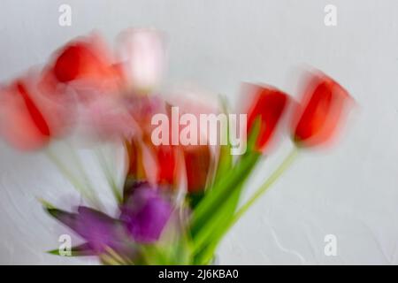 Bouquet de tulipes en exposition longue avec flou Banque D'Images