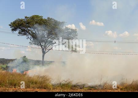 Goias, Brésil – 30 avril 2022 : brûlé dans l'herbe sur le côté de la route, avec un arbre, beaucoup de fumée et un ciel bleu en arrière-plan. Banque D'Images