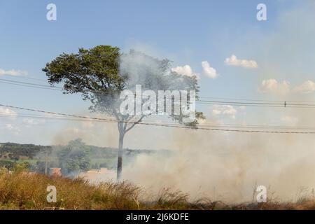 Goias, Brésil – 30 avril 2022 : brûlé dans l'herbe sur le côté de la route, avec un arbre, beaucoup de fumée et un ciel bleu en arrière-plan. Banque D'Images