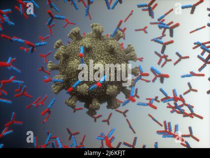 Système immunologique, anticorps attaquant le virus covid-19. Illustration 3D, concept du système de défense du corps. Anticorps en y attaquant le Banque D'Images