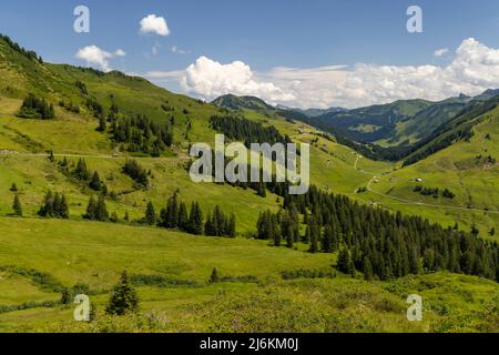 Paysage alpin typique au début de l'été près de Damuls, Vorarlberg, Autriche Banque D'Images