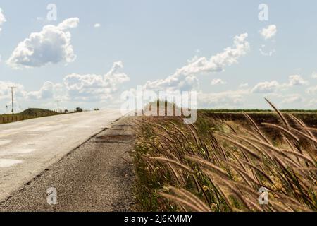 Goias, Brésil – 30 avril 2022 : détail d'une autoroute avec asphalte et beaucoup d'herbe et de ciel bleu avec quelques nuages. Banque D'Images