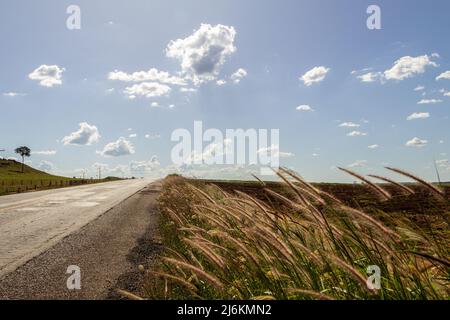 Goias, Brésil – 30 avril 2022 : détail d'une autoroute avec asphalte et beaucoup d'herbe et de ciel bleu avec quelques nuages. Banque D'Images