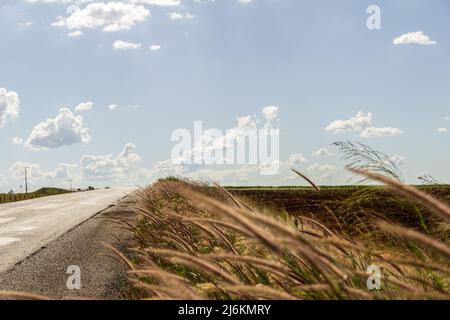 Goias, Brésil – 30 avril 2022 : détail d'une autoroute avec asphalte et beaucoup d'herbe et de ciel bleu avec quelques nuages. Banque D'Images