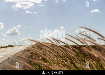 Goias, Brésil – 30 avril 2022 : détail d'une autoroute avec asphalte et beaucoup d'herbe et de ciel bleu avec quelques nuages. Banque D'Images