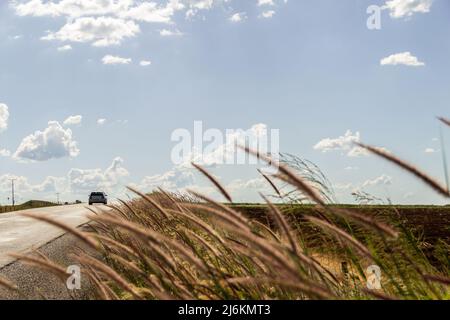 Goias, Brésil – 30 avril 2022 : détail d'une autoroute avec asphalte et beaucoup d'herbe et de ciel bleu avec quelques nuages. Banque D'Images