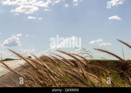 Goias, Brésil – 30 avril 2022 : détail d'une autoroute avec asphalte et beaucoup d'herbe et de ciel bleu avec quelques nuages. Banque D'Images