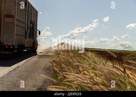 Goias, Goias, Brésil – 30 avril 2022 : détail d'un camion qui traverse la route asphaltée avec de l'herbe sur le bord. Autoroute GO-060. Banque D'Images