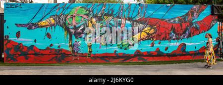 Woman regarde l'art mural à Wynwood Walls, Wynwood, Miami, Floride, États-Unis Banque D'Images
