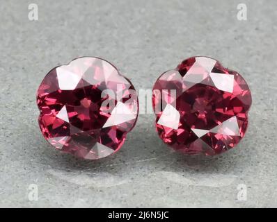 Rhodolite Garnet en pierre précieuse naturelle en pincettes sur fond Banque D'Images