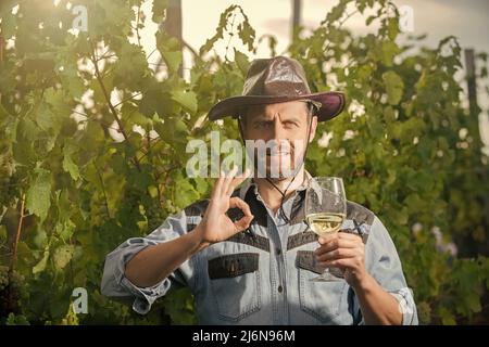 sommelier. fermier boit du vin. santé. vinedresser boit. homme propriétaire de vignoble. Banque D'Images