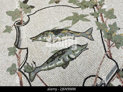 Plancher décoratif en forme de poisson mosaïques dans la Galleria Umberto I Naples Italie Banque D'Images