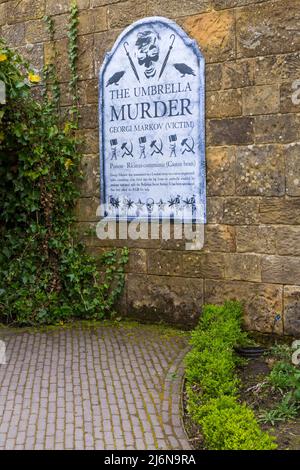 Détails de l'assassinat de Parapluie dans le jardin de poison dans les jardins d'Alnwick à Alnwick, Northumberland, Royaume-Uni, en avril Banque D'Images