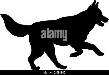 Silhouette de chien noire. Courir et sauter husky sibérien. Animaux de compagnie. Isolé sur un fond blanc. Illustration vectorielle. Illustration de Vecteur