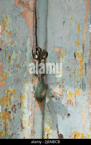 Porte décorative sur une porte en bois de Malte, bouton de porte Dophin. Malte, porte traditionnelle, knocker Banque D'Images