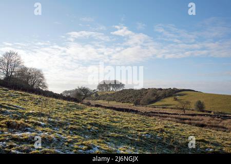 Lyme Handley près de West Parkgate Parc de Lyme Cheshire Angleterre Banque D'Images