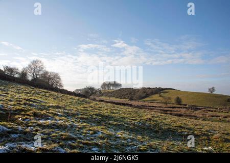 Lyme Handley près de West Parkgate Parc de Lyme Cheshire Angleterre Banque D'Images