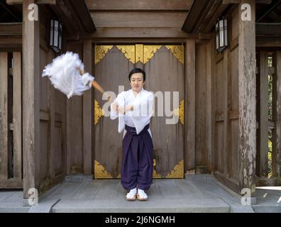 Chef Priest Eishu Sato à l'Amanoiwato Jinja, le prêtre vagues un harai-gushi, une baguette en bois avec papier plié, Shinto Shrine, Takachiho, Kyushu, Japon Banque D'Images