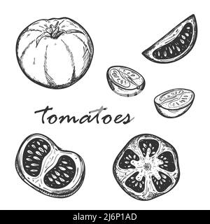 Croquis de tomates en différents types. Mettre en place avec des tomates entières, coupées dans le sens de la longueur et à travers les tomates. Segments de tomates cerises. Dessiné à la main et isolé Illustration de Vecteur