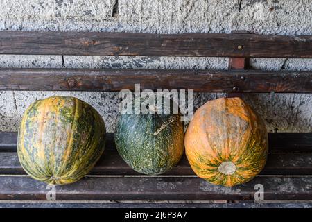 Citrouilles sur le banc Banque D'Images