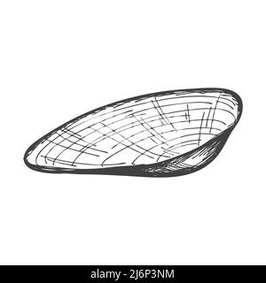 Coquillages dessinés à la main. Une coquille pleine, vide, fermée, plate et ovale d'un mollusque ou d'un escargot. Style d'esquisse, dessin gravé. Illustration noir et blanc iso Illustration de Vecteur