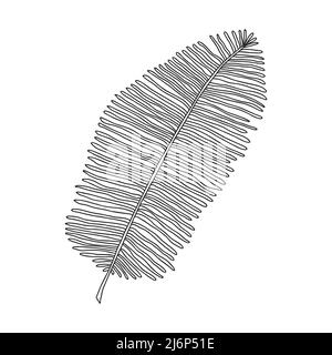 La feuille de palmier est une plante tropicale avec des feuilles étroites. Élément de conception botanique pour la conception de magazines, d'articles et de brochures. vec noir-blanc simple Illustration de Vecteur