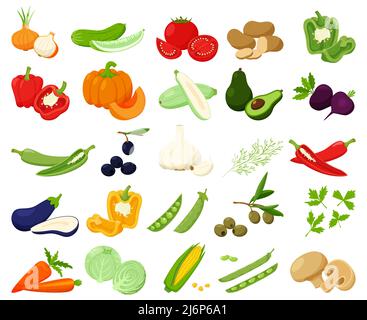 Grand ensemble de légumes frais, potiron, avocat, piment. Ensemble et moitié. Collection de décoration pour la conception de nourriture, recettes, menus, icons.Flat Illustration de Vecteur