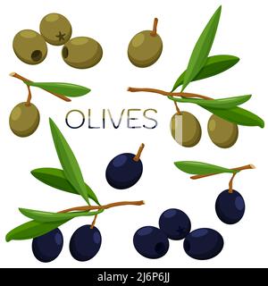 Jeu d'olives. Olives sur une branche avec des feuilles et piquées individuellement. Collection avec olives noires et vertes. Cuisine de style plat. Vecteur isolé illustrati Illustration de Vecteur