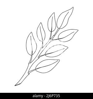 Une branche de plantes avec des feuilles sur la tige. Élément décoratif botanique. Illustration vectorielle simple en noir et blanc dessinée à la main, isolée sur un blanc Illustration de Vecteur