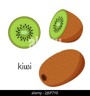 Kiwi entier, coupé en moitié et coupé en tranches. Icône fruit. Conception plate. Illustration à vecteur de couleur isolée sur fond blanc Illustration de Vecteur