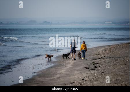 La vue arrière d'un couple marchant sur leurs chiens le long d'une plage déserte par une journée de forte luminosité. Banque D'Images